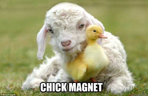 CHICK MAGNET - CHICK MAGNET  Misc