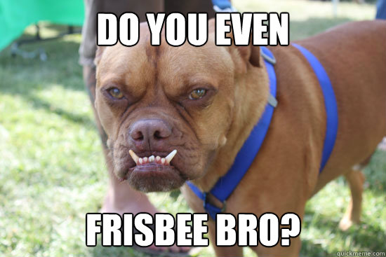 Do you even frisbee bro? - Do you even frisbee bro?  Do you even dog