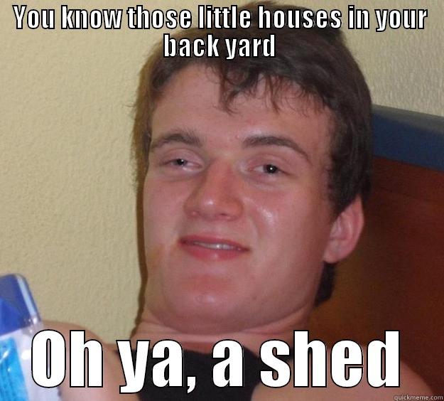 YOU KNOW THOSE LITTLE HOUSES IN YOUR BACK YARD OH YA, A SHED 10 Guy