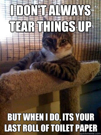 I don't always tear things up but when I do, its your last roll of toilet paper  The Most Interesting Cat in the World