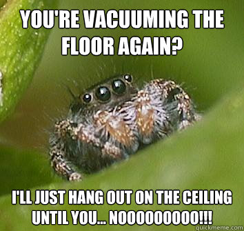 YOU'RE VACUUMING THE FLOOR AGAIN? I'LL JUST HANG OUT ON THE CEILING UNTIL YOU... NOOOOOOOOO!!! - YOU'RE VACUUMING THE FLOOR AGAIN? I'LL JUST HANG OUT ON THE CEILING UNTIL YOU... NOOOOOOOOO!!!  Misunderstood Spider