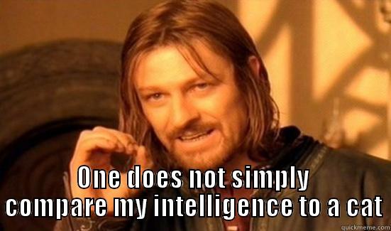  ONE DOES NOT SIMPLY COMPARE MY INTELLIGENCE TO A CAT Boromir