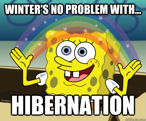 Winter's no problem with... Hibernation  Spongebob rainbow
