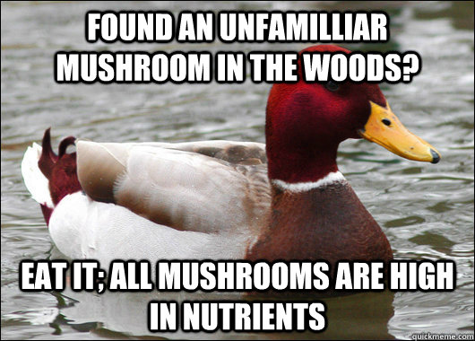 Found an unfamilliar mushroom in the woods? Eat it; all mushrooms are high in nutrients  Malicious Advice Mallard