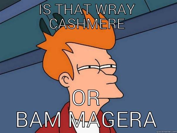 IS THAT WRAY CASHMERE OR BAM MAGERA Futurama Fry