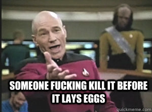  Someone fucking kill it before it lays eggs   Annoyed Picard