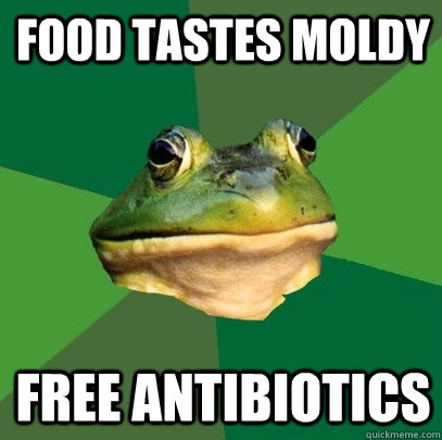Food tastes moldy Free antibiotics  Foul Bachelor Frog