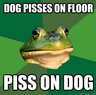 Dog pisses on floor piss on dog  Foul Bachelor Frog