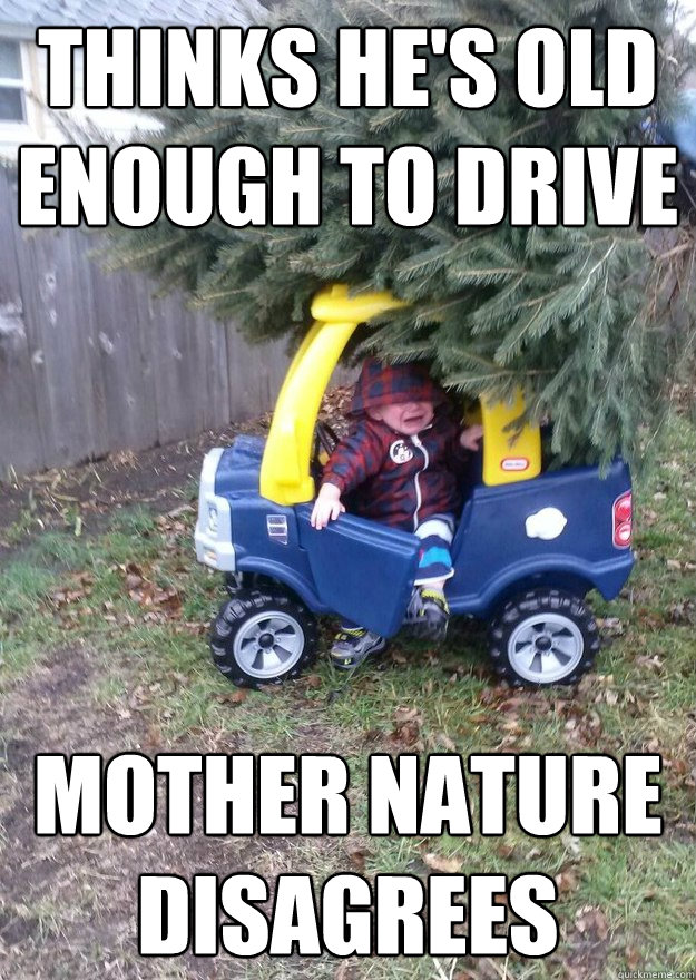 Thinks he's old enough to drive mother nature disagrees  