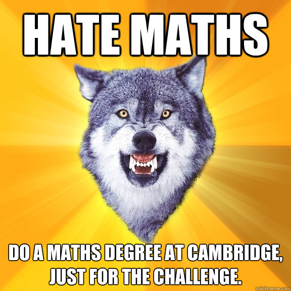 Hate maths do a maths degree at cambridge, just for the challenge.  Courage Wolf