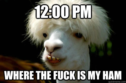 12:00 Pm Where the fuck is my ham - 12:00 Pm Where the fuck is my ham  Stupid llama