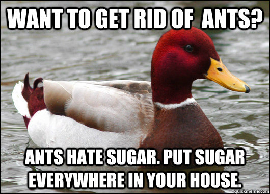 Want to get rid of  Ants? Ants hate sugar. Put sugar everywhere in your house. - Want to get rid of  Ants? Ants hate sugar. Put sugar everywhere in your house.  Misc