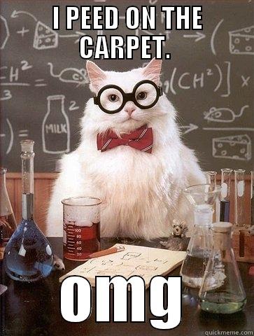  I PEED ON THE CARPET. OMG Chemistry Cat
