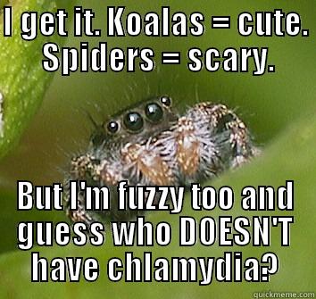 I GET IT. KOALAS = CUTE.  SPIDERS = SCARY. BUT I'M FUZZY TOO AND GUESS WHO DOESN'T HAVE CHLAMYDIA? Misunderstood Spider