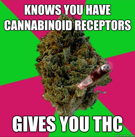 knows you have cannabinoid receptors  gives you THC   