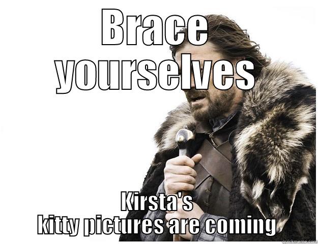 BRACE YOURSELVES KIRSTA'S KITTY PICTURES ARE COMING Imminent Ned