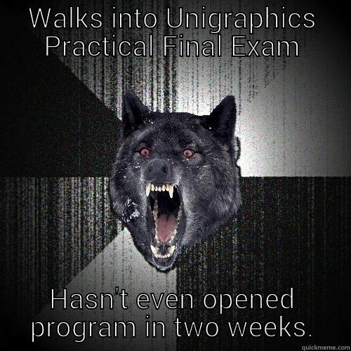 WALKS INTO UNIGRAPHICS PRACTICAL FINAL EXAM HASN'T EVEN OPENED PROGRAM IN TWO WEEKS. Insanity Wolf