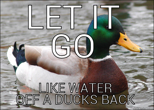 LET IT GO LIKE WATER OFF A DUCKS BACK Actual Advice Mallard