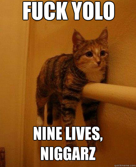 Fuck yolo nine lives, niggarz - Fuck yolo nine lives, niggarz  Monorail Cat