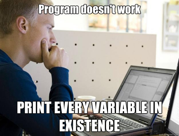 Program doesn't work PRINT EVERY VARIABLE IN EXISTENCE  Programmer