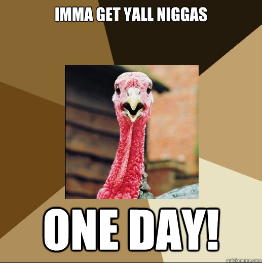 Imma get yall niggas one day!  Quirky Turkey