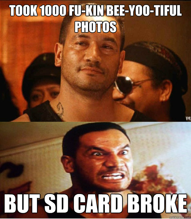 took 1000 fu-kin bee-yoo-tiful photos but sd card broke  jake the muss