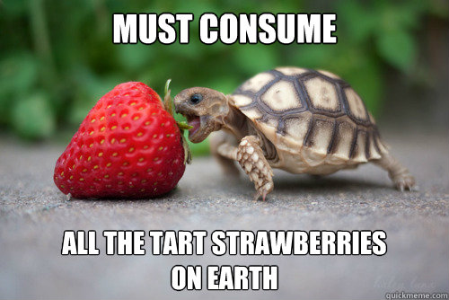 MUST CONSUME  ALL THE TART STRAWBERRIES 
ON EARTH - MUST CONSUME  ALL THE TART STRAWBERRIES 
ON EARTH  Munchies Turtle