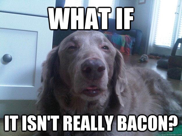 What if it isn't really bacon?  10 Dog