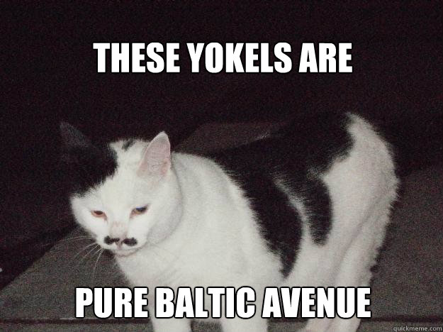 These yokels are pure baltic avenue  Old timey cat