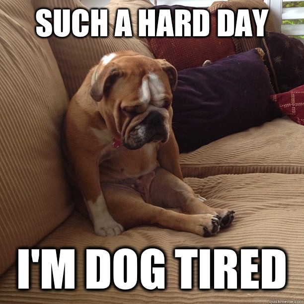 Such a hard day I'm dog tired  depressed dog