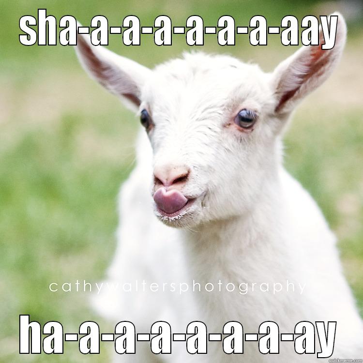 SHA-A-A-A-A-A-A-AAY HA-A-A-A-A-A-A-AY Misc