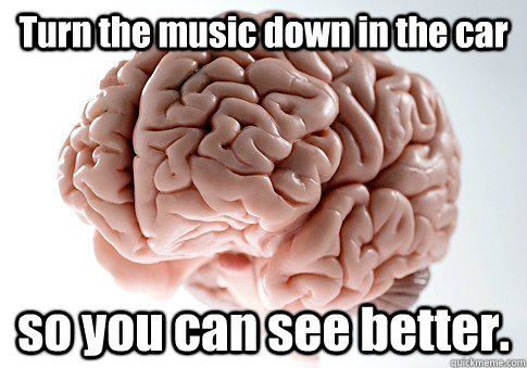 Turn the music down in the car so you can see better.    Scumbag Brain