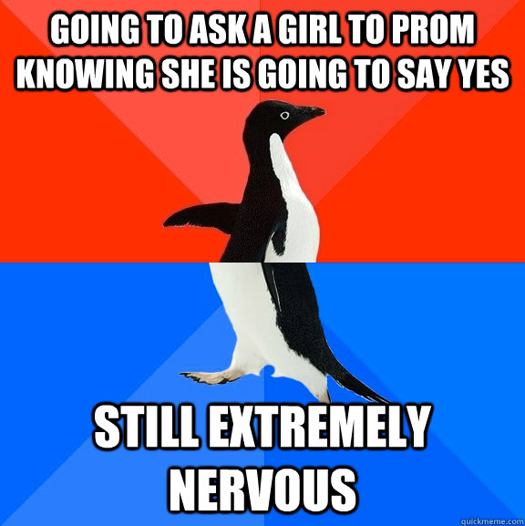 Going to ask a girl to prom knowing she is going to say yes Still extremely nervous  Socially Awesome Awkward Penguin