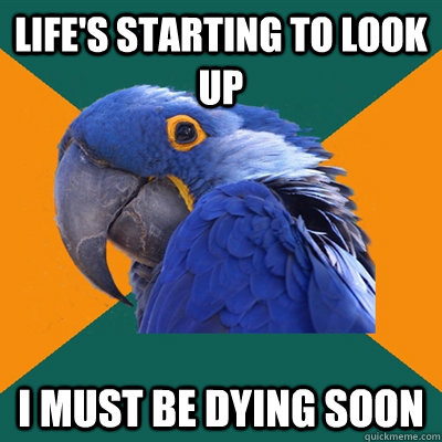 Life's starting to look up I MUST BE DYING SOON  Paranoid Parrot