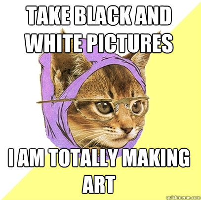 Take black and white pictures I am totally making art  Hipster Kitty
