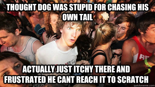 Thought Dog was stupid for chasing his own tail actually just itchy there and frustrated he cant reach it to scratch   Sudden Clarity Clarence