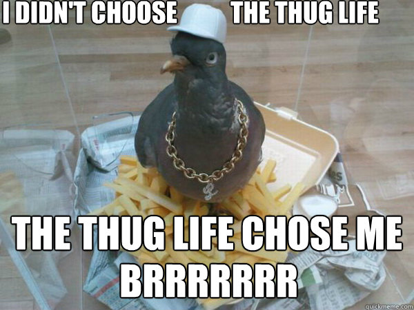 I Didn't Choose           The Thug Life The Thug Life Chose Me BRRRRRRR  