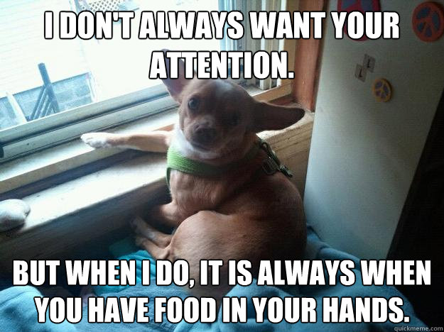 I don't always want your attention. But when I do, it is always when you have food in your hands. - I don't always want your attention. But when I do, it is always when you have food in your hands.  Worlds Most Intresting Dog