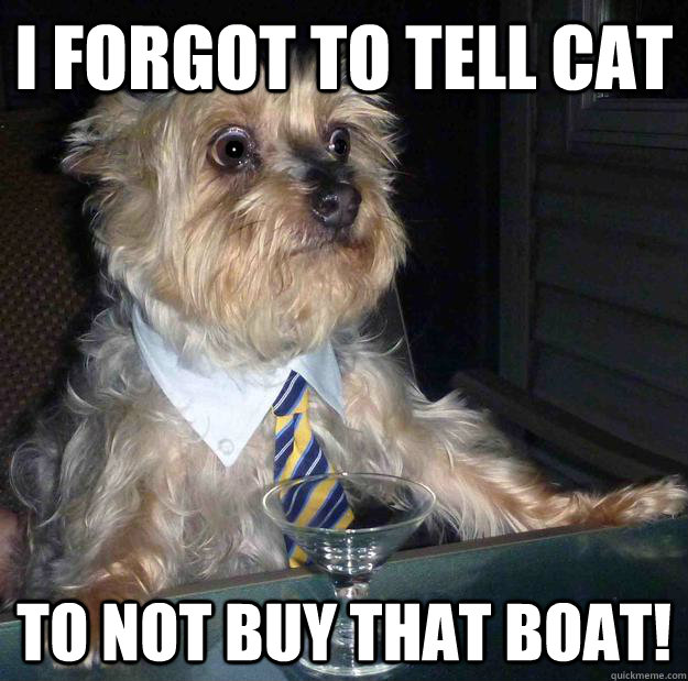 I forgot to tell cat to not buy that boat! - I forgot to tell cat to not buy that boat!  Irresponsible Dog Father