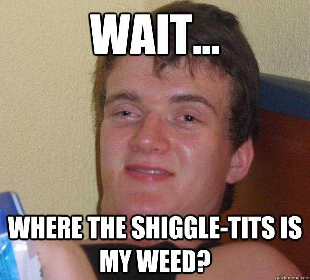 Wait... Where the shiggle-tits is my weed?  10 Guy