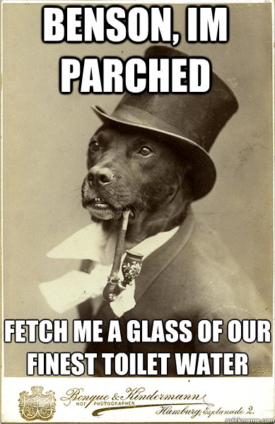 benson, im parched fetch me a glass of our finest toilet water
 - benson, im parched fetch me a glass of our finest toilet water
  Old Money Dog