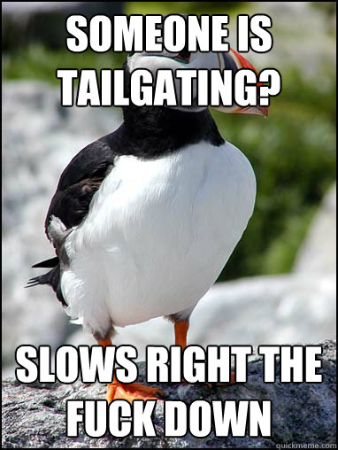 Someone is tailgating? slows right the fuck down - Someone is tailgating? slows right the fuck down  Passive-aggressive puffin