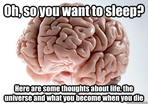 Oh, so you want to sleep? Here are some thoughts about life, the universe and what you become when you die   Scumbag Brain