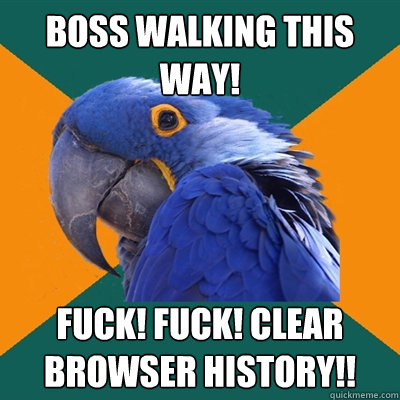 Boss walking this way! Fuck! Fuck! Clear browser history!!  Paranoid Parrot