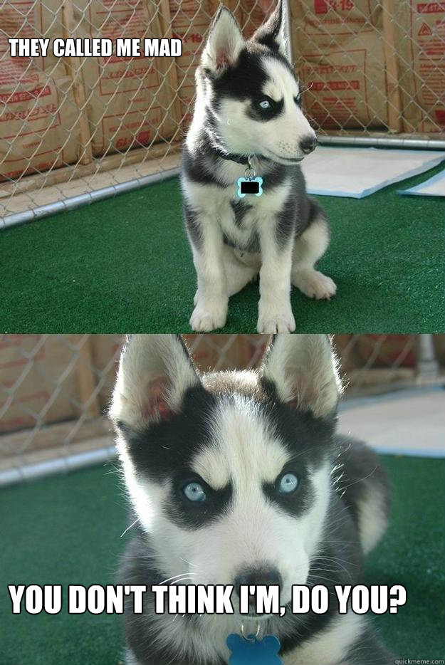 They called me mad



 
You don't think I'm, do you?  Insanity puppy