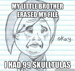 my little brother erased my file I had 99 skulltulas  Okay Link