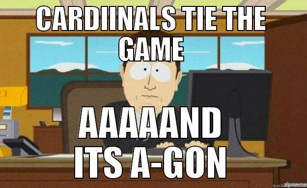 CARDIINALS TIE THE GAME AAAAAND ITS A-GON aaaand its gone