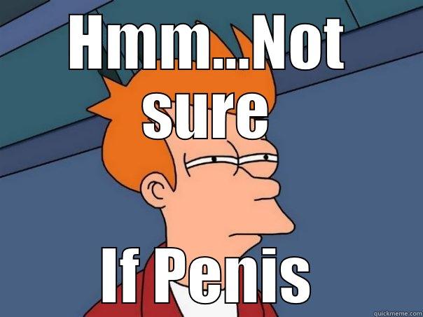 HMM...NOT SURE IF PENIS Futurama Fry