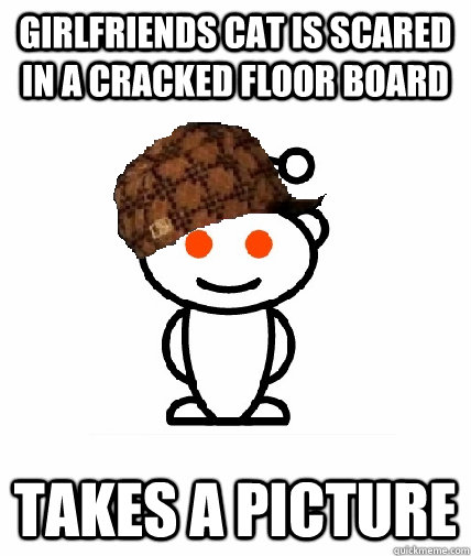 Girlfriends cat is scared in a cracked floor board takes a picture  Scumbag Redditor