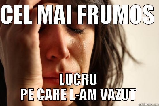 CEL MAI FRUMOS  LUCRU PE CARE L-AM VAZUT First World Problems